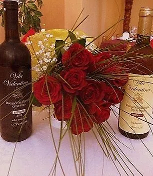 발렌티나 아파트호텔 3*